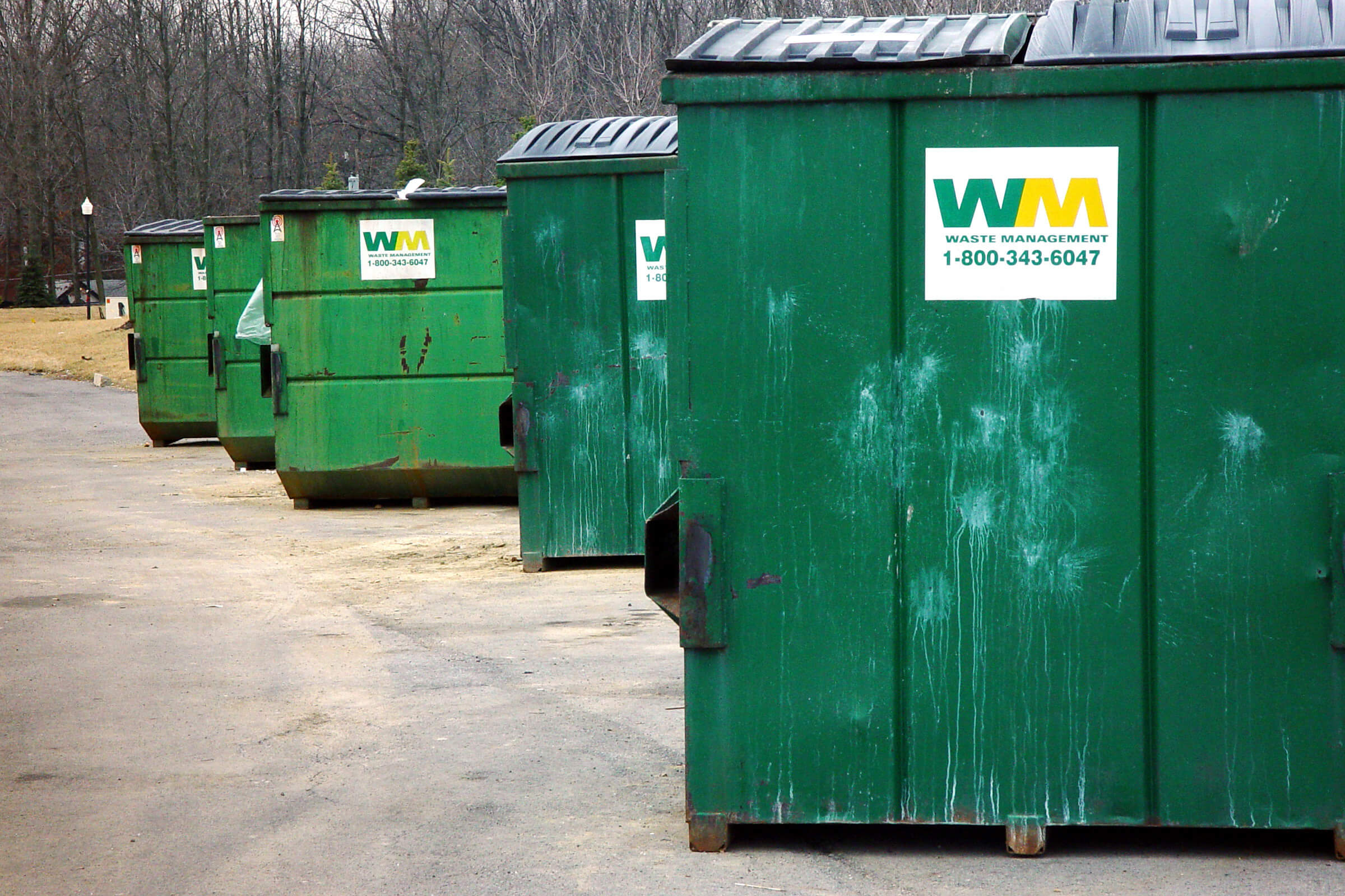 dumpster diving