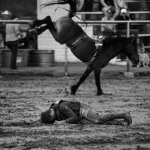 Rodeo3