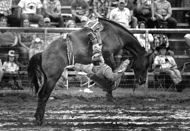 Rodeo4 death penalty