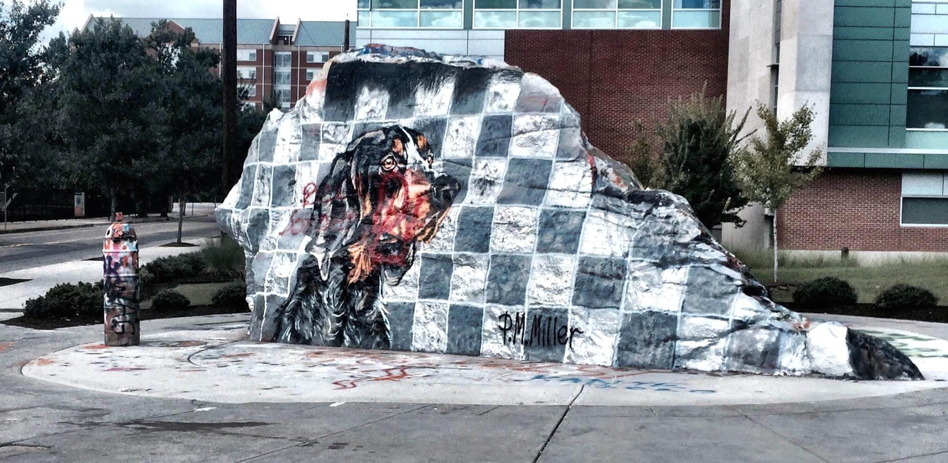 Sooner fans