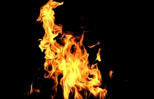 Predatory University of Phoenix could be burning out University of Phoenix