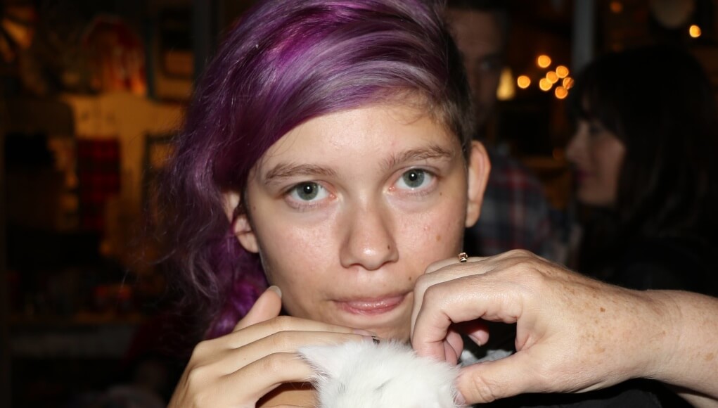 Kitten photo essay