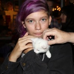 Kitten