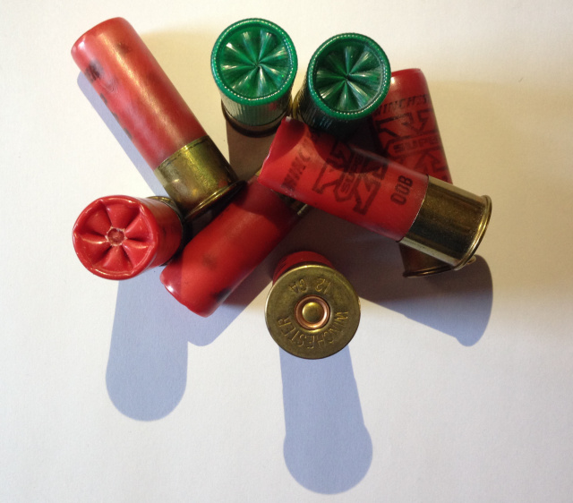 SHELLS bullets