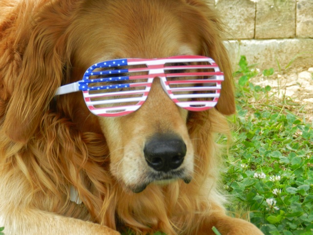 Independent Voters