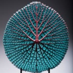 HawkBill-VictoriaWaterLily-BlueAndRed