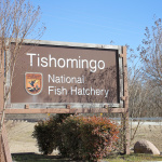 TishFishHatchery