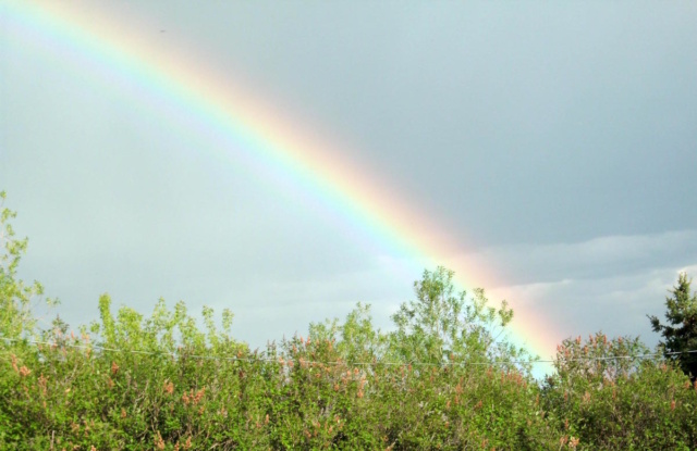 Rainbow rainbow landing