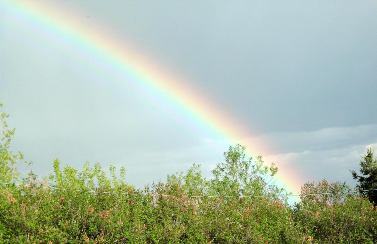 rainbow landing