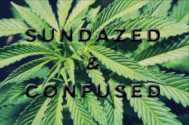 Sundazed_Marijuana drug war