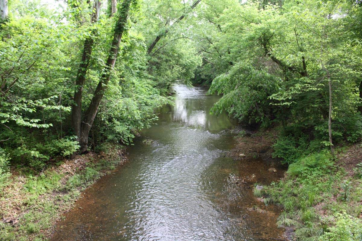 water