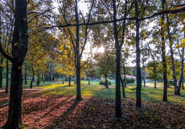 Autumn Solstice