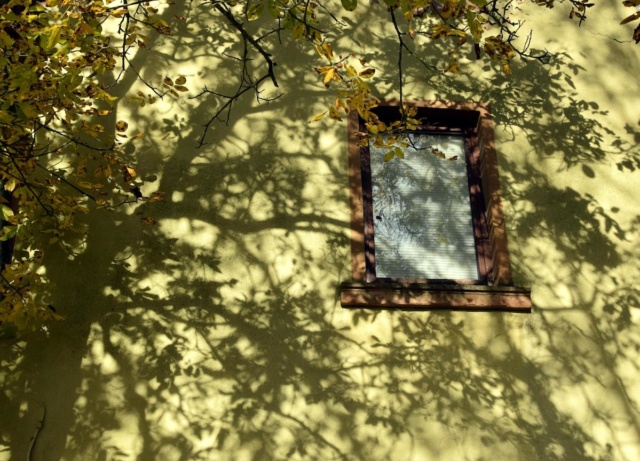 Shadows The dancing shadows
