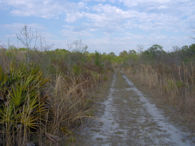 HPIM0927.JPG South