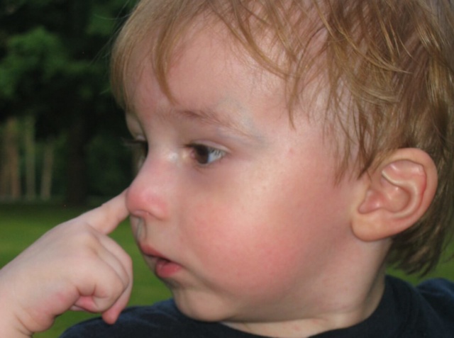 file000641273966 boogers