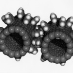Bees6