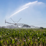 FARMING-4