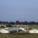 CIRSimmons26655