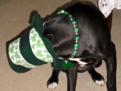 St. Patrick’s Day 2018: An OKC metro guide St. Patrick's Day 2018