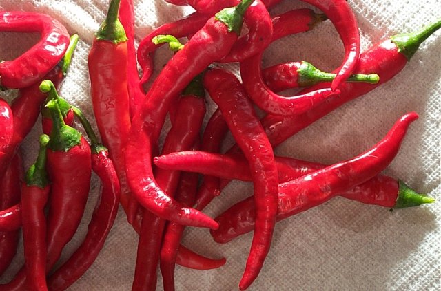 pepper