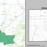 CD1
