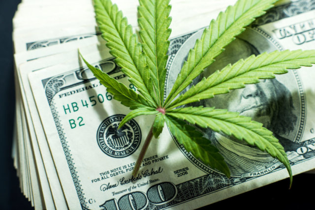 medical marijuana industry
