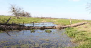 New definition of federally regulated waters encourages OK farmers