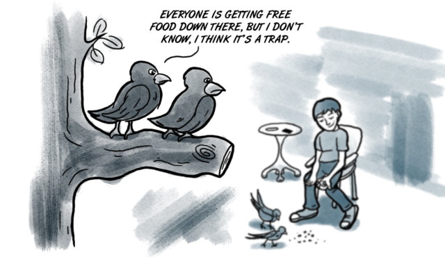 bird skeptics final spring
