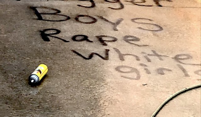 McKinleyVandalism Norman racism