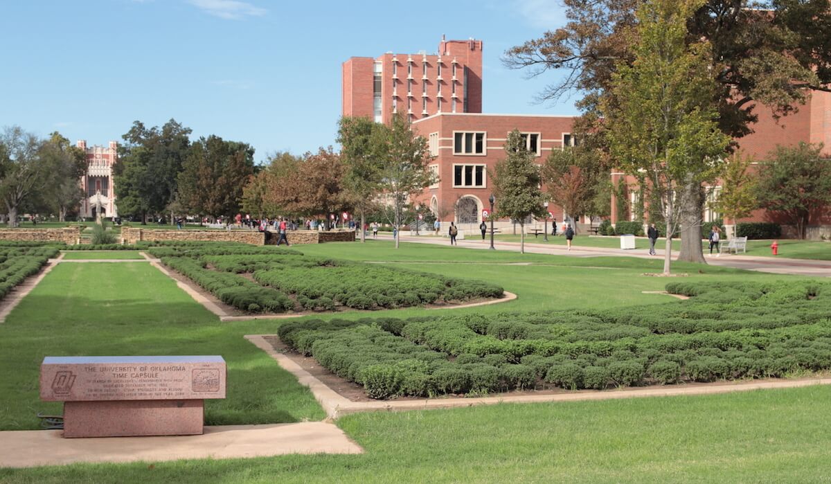 international student enrollment