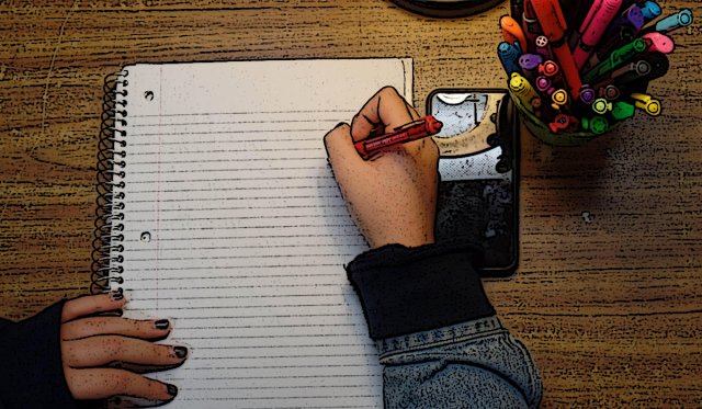 Essay Contest essay contest