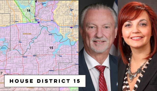 HD15 House District 15