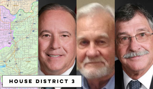 HD3-3 House District 3