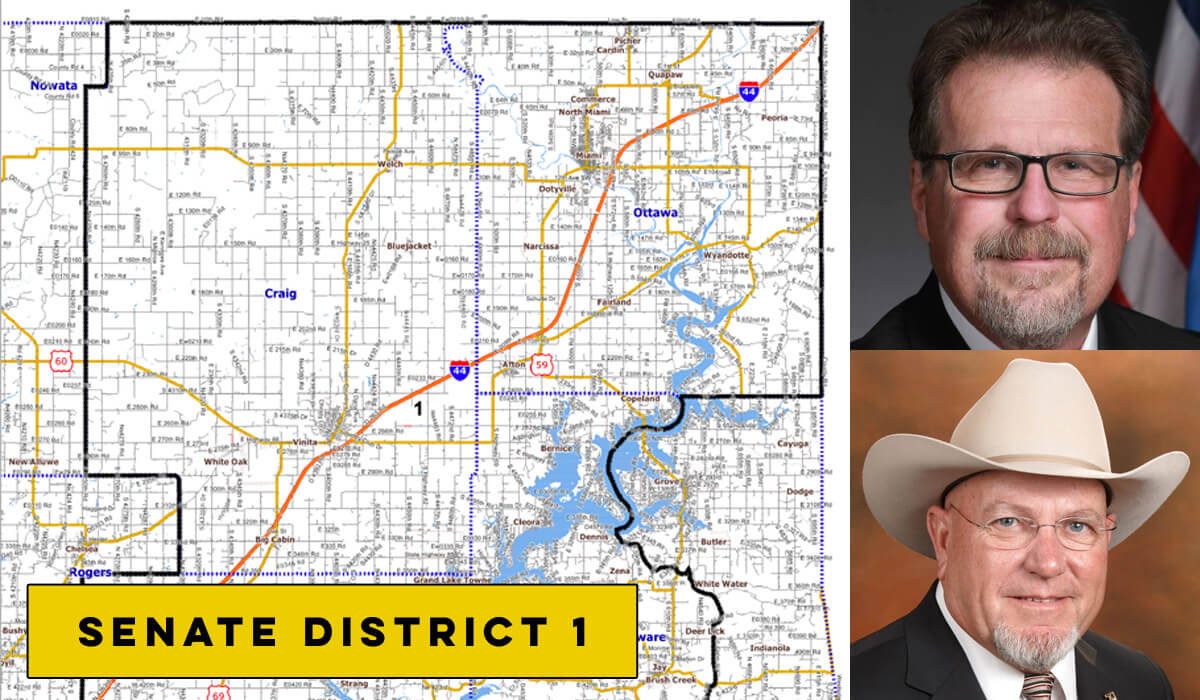 Senate District 1