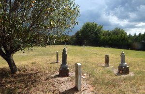‘Don’t let weeds grow on my grave’: Poems on Gower Memorial Cemetery Gower Memorial Cemetery