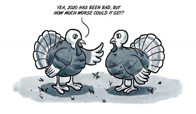 turkey trouble final turkey trouble, Thanksgiving