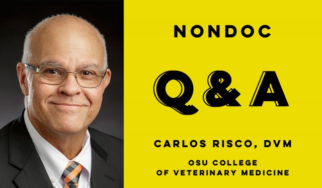 CarlosRiscoQ&A Carlos Risco