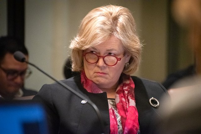 Sheila Dills 2019 education management organization, charter school reform