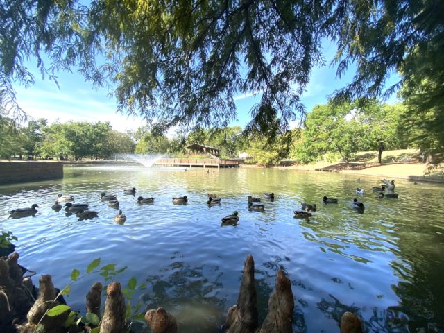 Hafer Park Duckies Edmond voters, Hafer Park