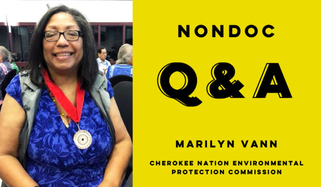 MarilynVannQ&A (3) Marilyn Vann