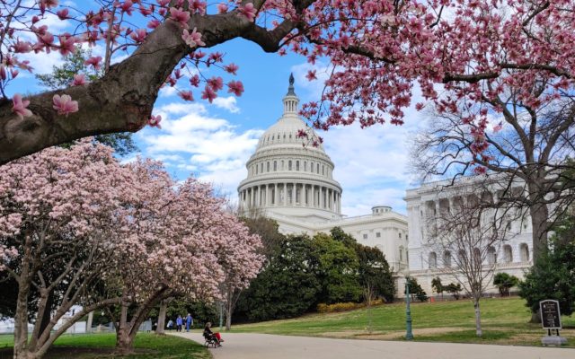 U.S.Capitol grounds Senate races