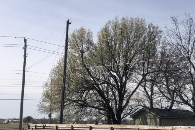 powerlines 2 Norman voters tell OG&E nay