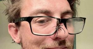 Cleared of bomb charge, Edmond spider breeder pleads guilty to cultivating mushrooms Oklahoma spiders Nick Krueger