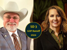 Senate District 3 runoff: ‘Lot of lies’ as Stephens, McIntosh compete for shifted seat Oklahoma State Senate District 3