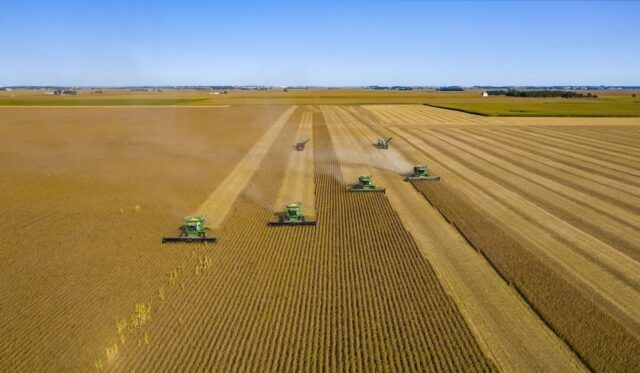 oklahoma soybeans